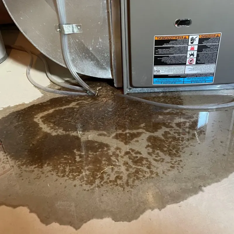 Pipe Burst and Leak Restoration in Owensboro, KY