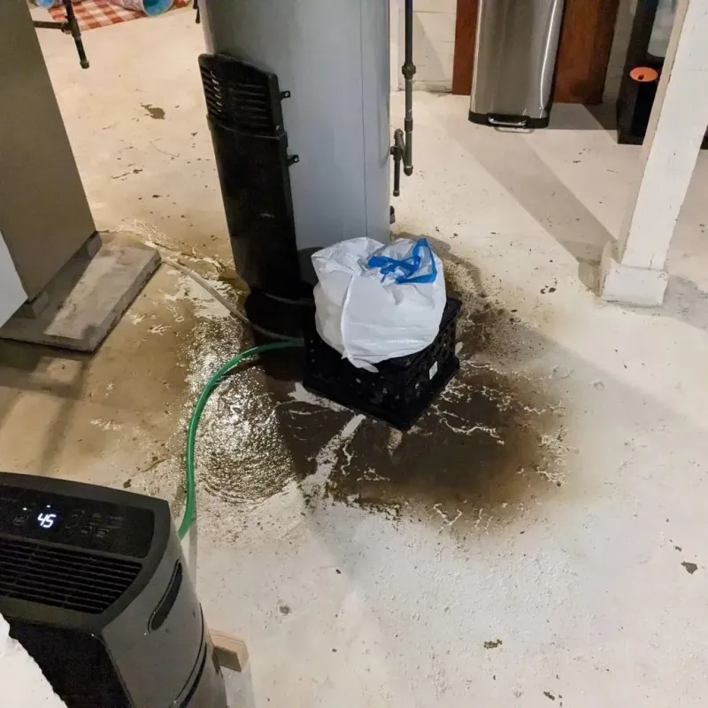 Sewage Backup Cleanup Service in Owensboro, KY